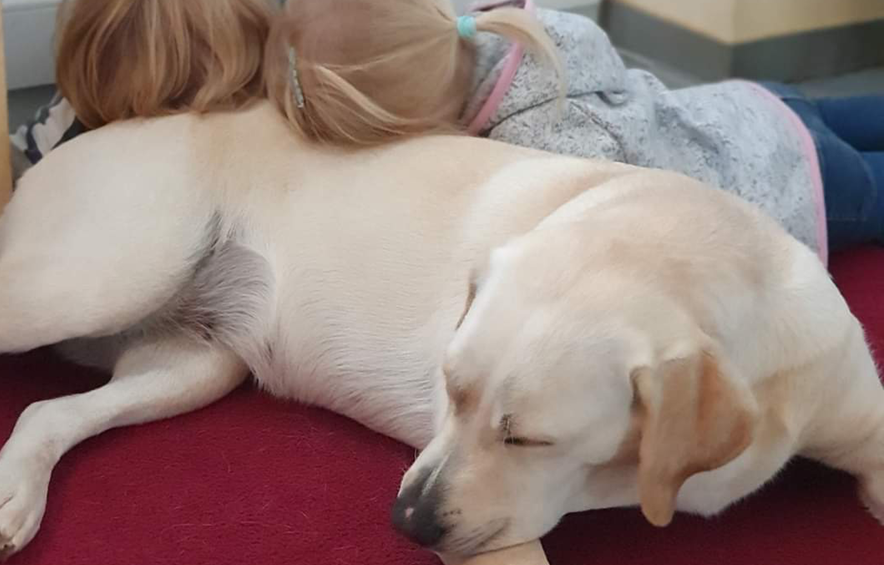 Eulenkinder Kinder und Hund
